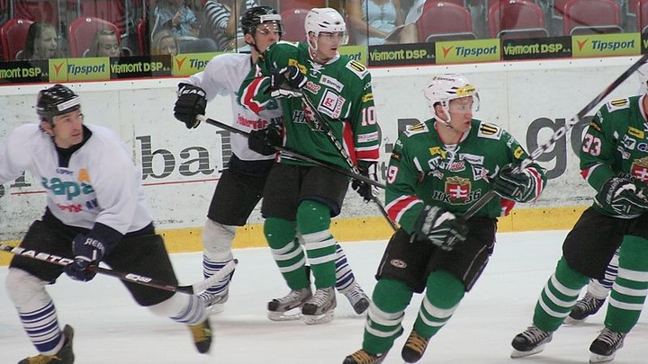 David Stieler v zápase